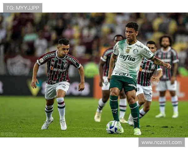 2018年帕梅拉斯与累体育激战回顾:精彩瞬间与战术分析 2018年帕梅拉斯与累体育激战回顾:精彩瞬间与战术分析