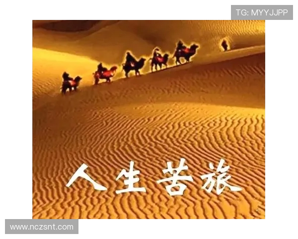 廖三宁：从音乐才子到文化传播者的多元人生旅程