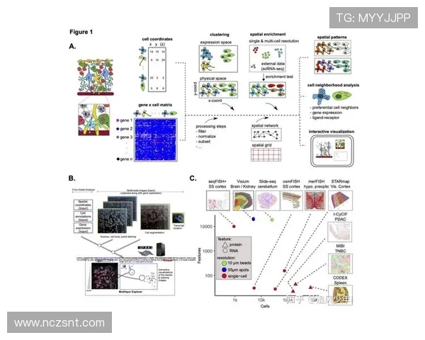 火花与天空的历史交锋回顾与分析探索之旅