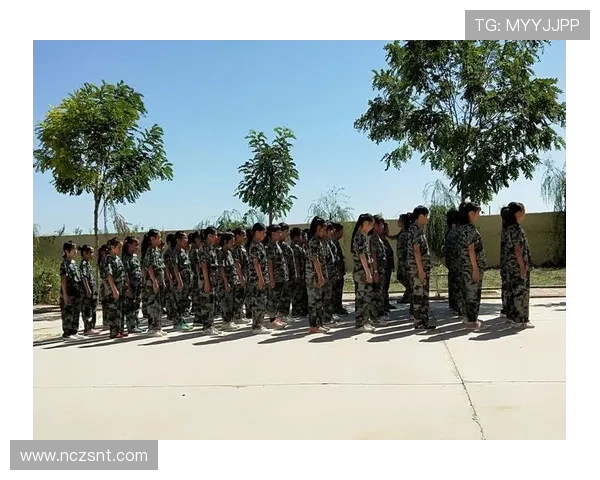 陈磊畅谈王者荣耀职业生涯的成长与挑战分享